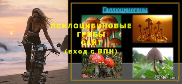 гидропоника Баксан