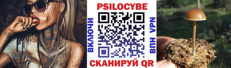 Галлюциногенные грибы MAGIC MUSHROOMS  магазин  наркотиков  Весьегонск 
