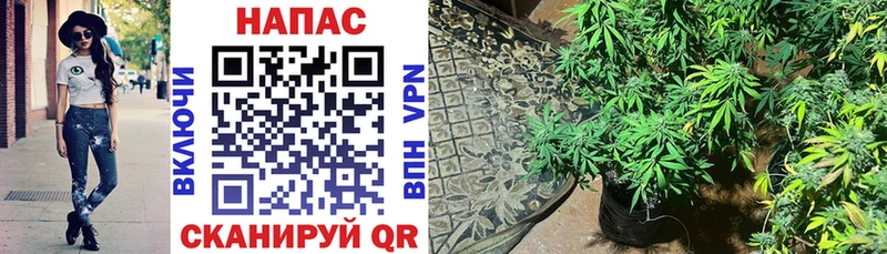 Бошки марихуана Ganja  Весьегонск 